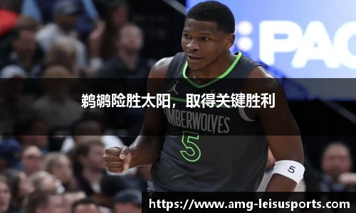 鹈鹕险胜太阳,取得关键胜利
