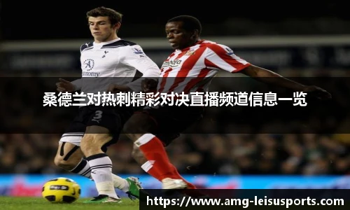 桑德兰对热刺精彩对决直播频道信息一览